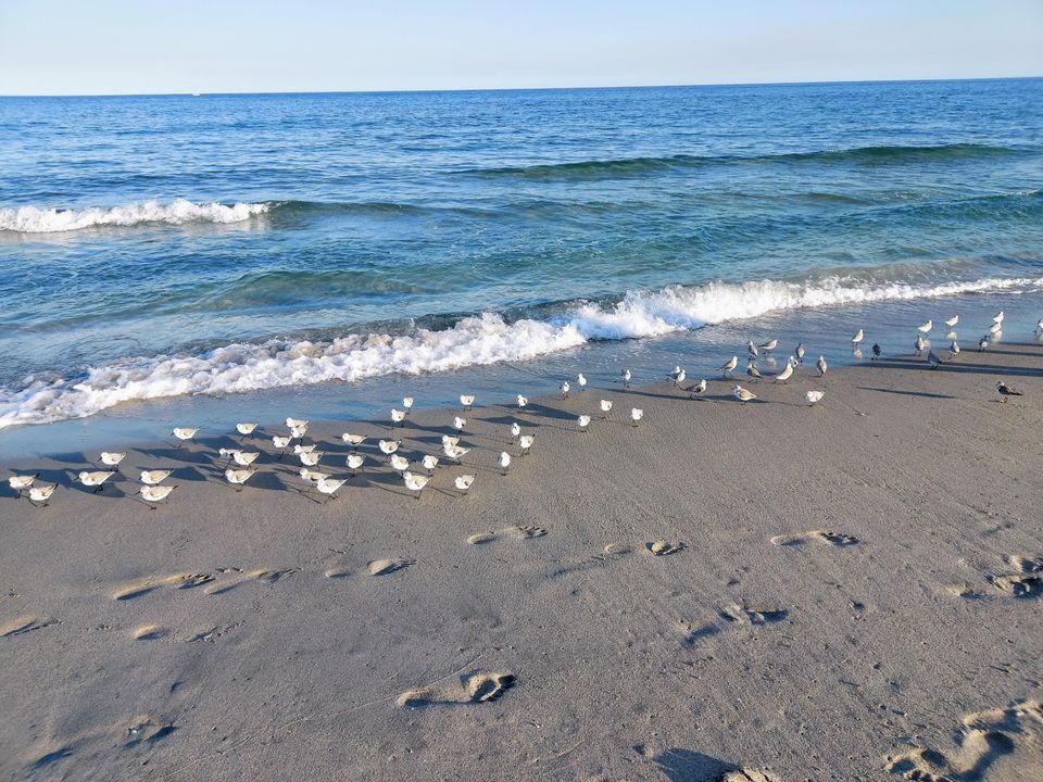 For Sale: $165,000 (2 beds, 1 baths, 775 Square Feet)