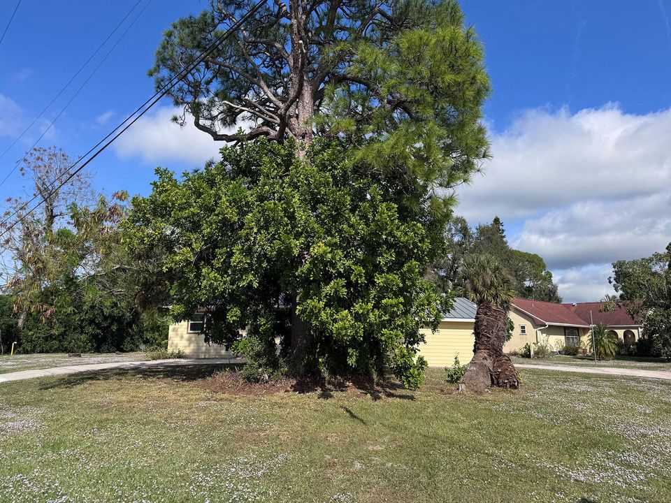 For Sale: $320,000 (3 beds, 2 baths, 1455 Square Feet)