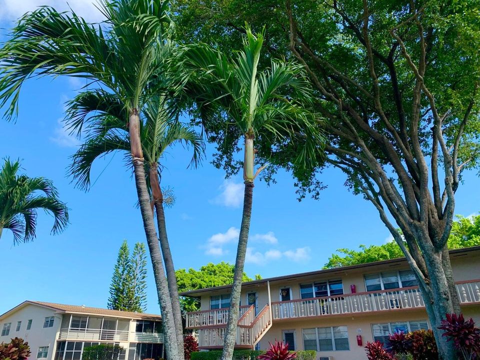 На продажу: $79,900 (1 спален, 1 ванн, 646 Квадратных фут)