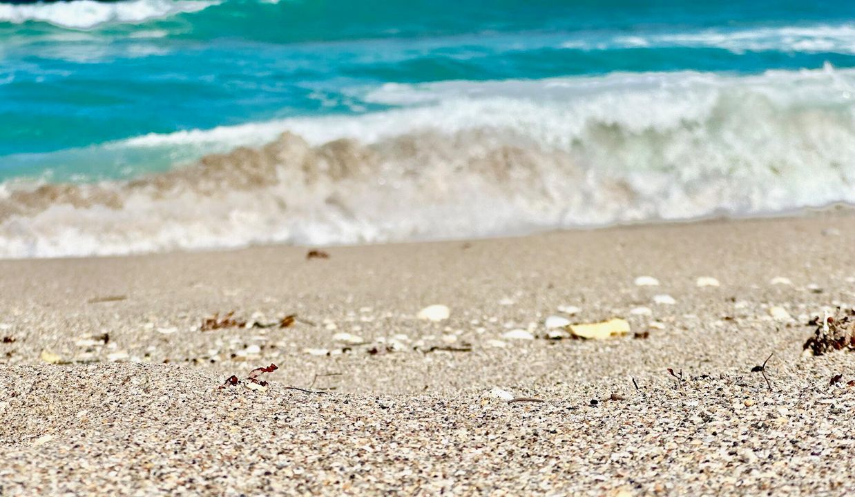 For Sale: $625,000 (1 beds, 1 baths, 1100 Square Feet)