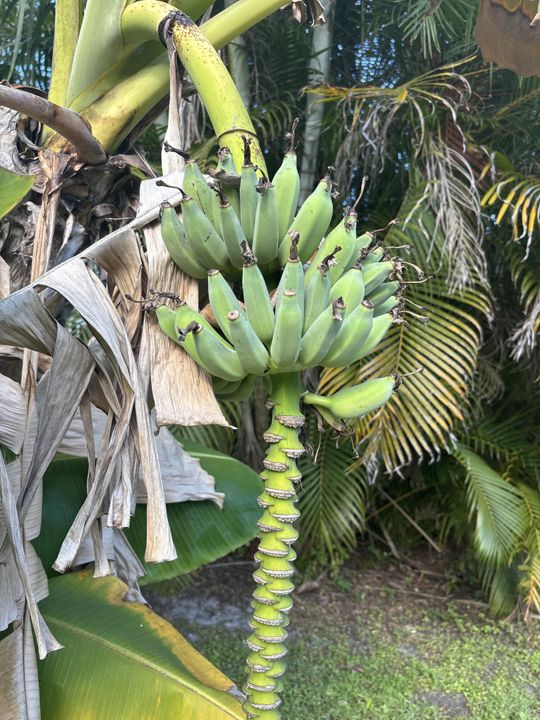 For Sale: $250,000 (0 beds, 0 baths, 0 Square Feet)