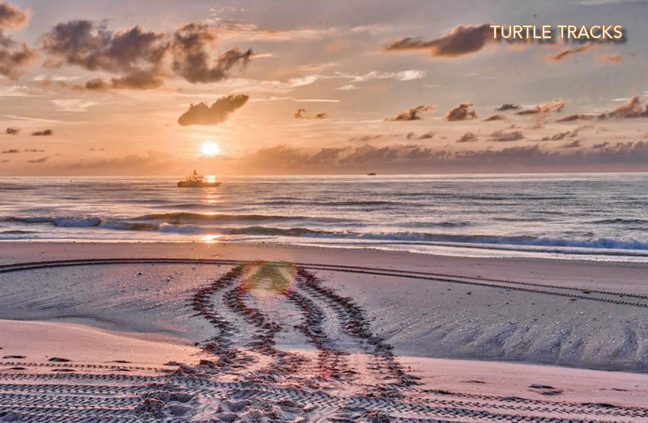 For Sale: $789,000 (3 beds, 2 baths, 2200 Square Feet)