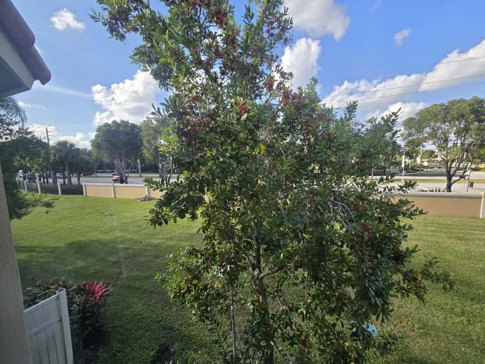 For Rent: $2,000 (2 beds, 2 baths, 910 Square Feet)