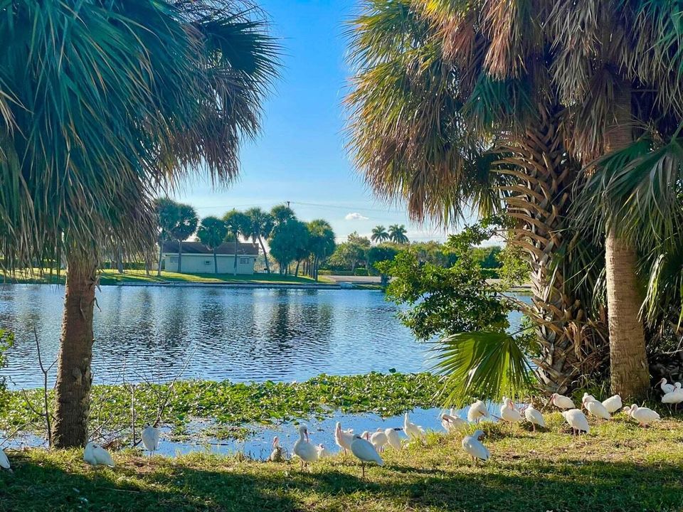 En Renta: $1,200 (1 camas, 1 baños, 612 Pies cuadrados)