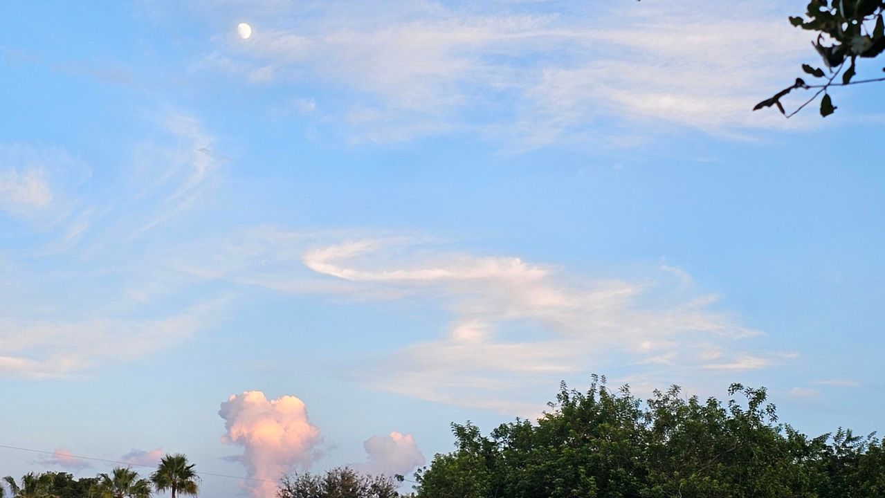 В аренду: $2,150 (3 спален, 2 ванн, 1310 Квадратных фут)