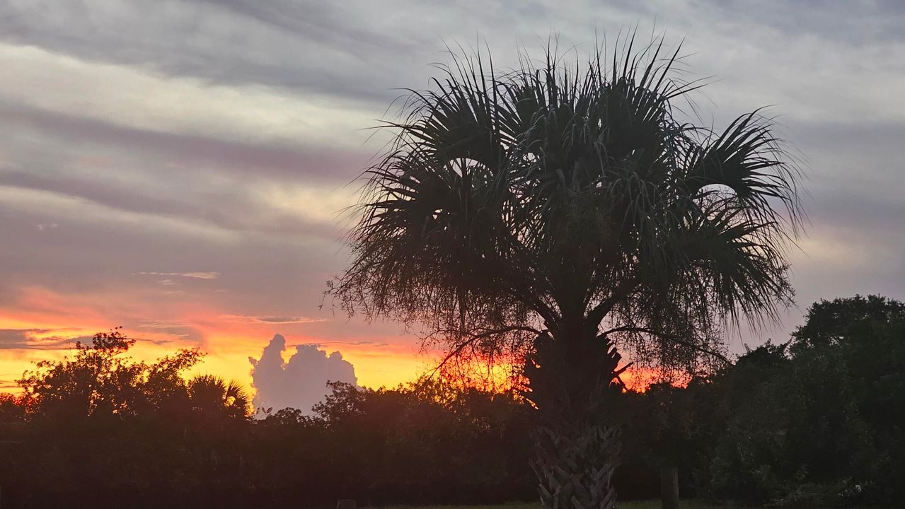 В аренду: $2,150 (3 спален, 2 ванн, 1310 Квадратных фут)