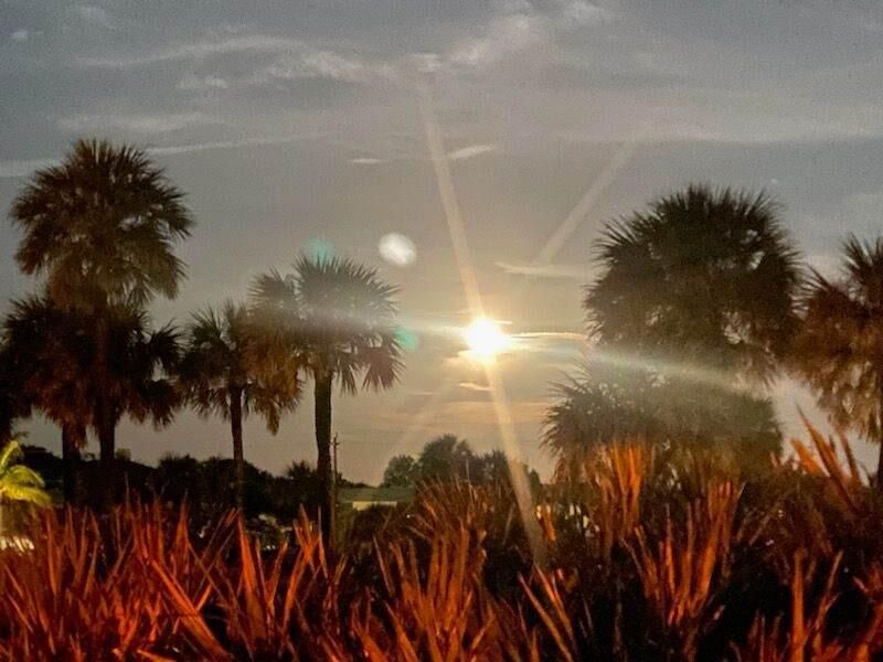 В аренду: $2,150 (3 спален, 2 ванн, 1310 Квадратных фут)