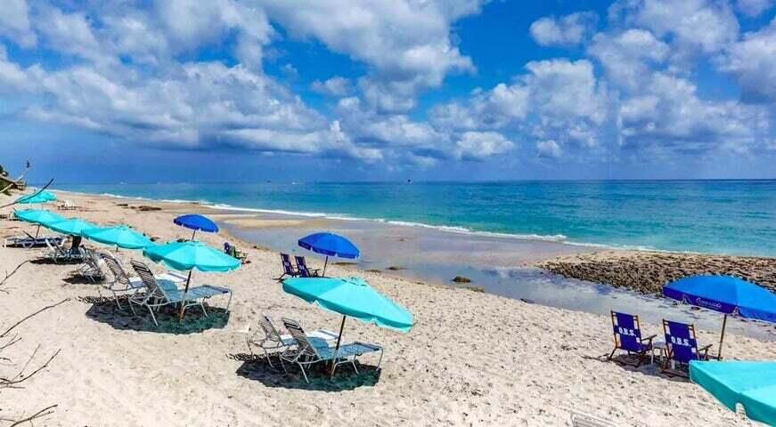 出租: $5,200 (2 贝兹, 2 浴室, 1432 平方英尺)