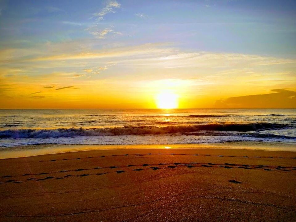 出租: $4,700 (2 贝兹, 2 浴室, 1250 平方英尺)