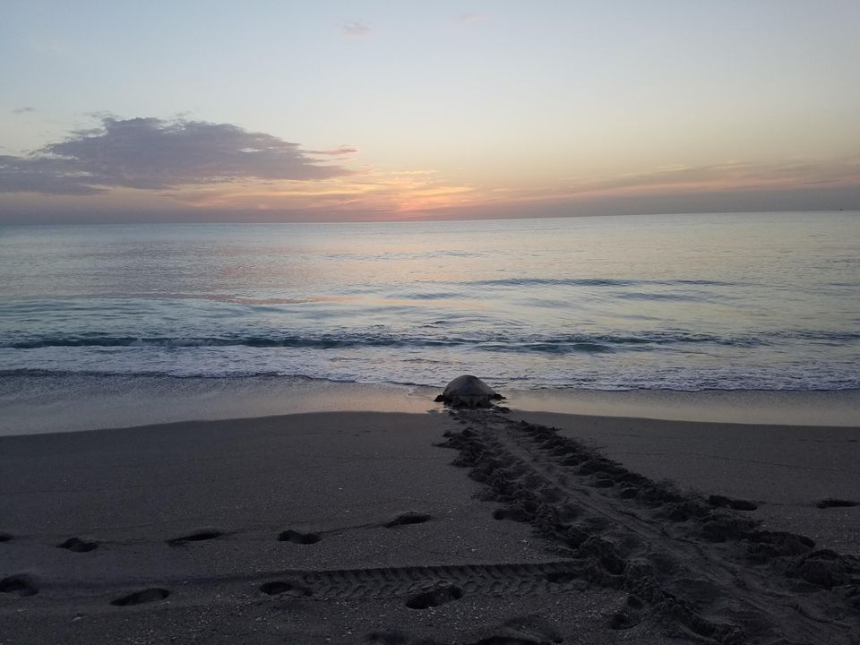 出租: $4,700 (2 贝兹, 2 浴室, 1250 平方英尺)