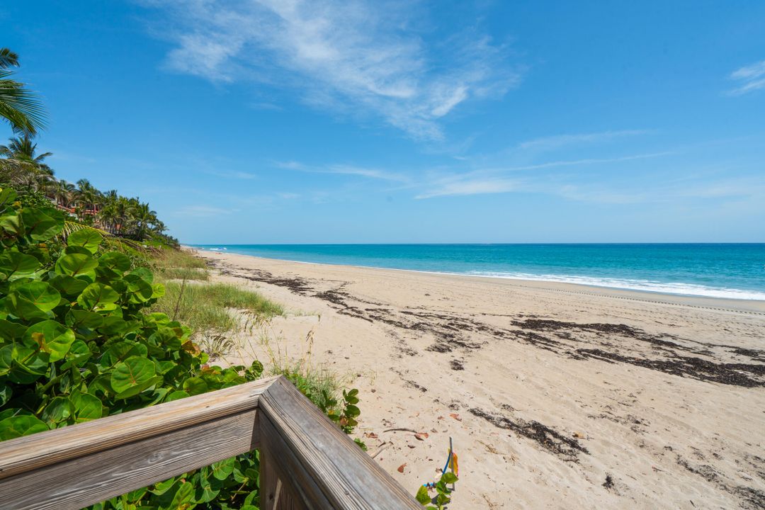 В аренду: $8,000 (2 спален, 2 ванн, 2300 Квадратных фут)