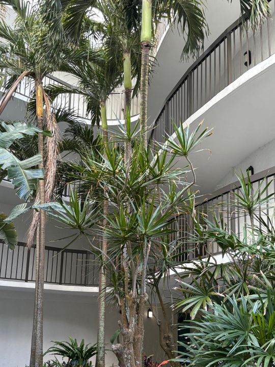 For Sale: $295,000 (2 beds, 2 baths, 1119 Square Feet)