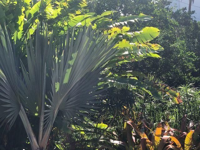 В аренду: $2,900 (2 спален, 2 ванн, 1478 Квадратных фут)