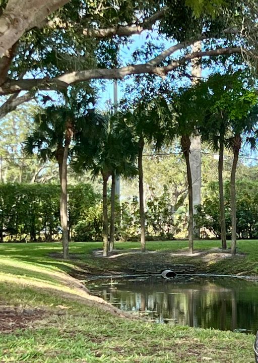 В аренду: $1,875 (2 спален, 2 ванн, 902 Квадратных фут)