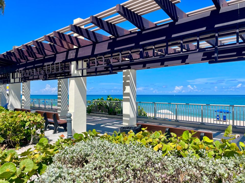 出租: $2,700 (3 贝兹, 2 浴室, 1521 平方英尺)