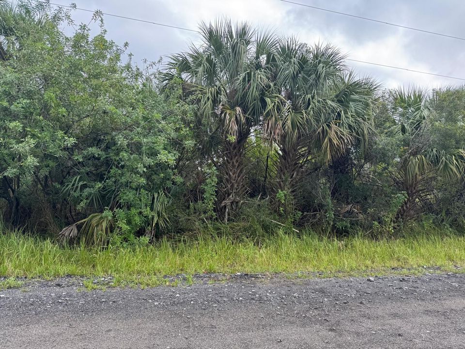 For Sale: $45,000 (0 beds, 0 baths, 0 Square Feet)