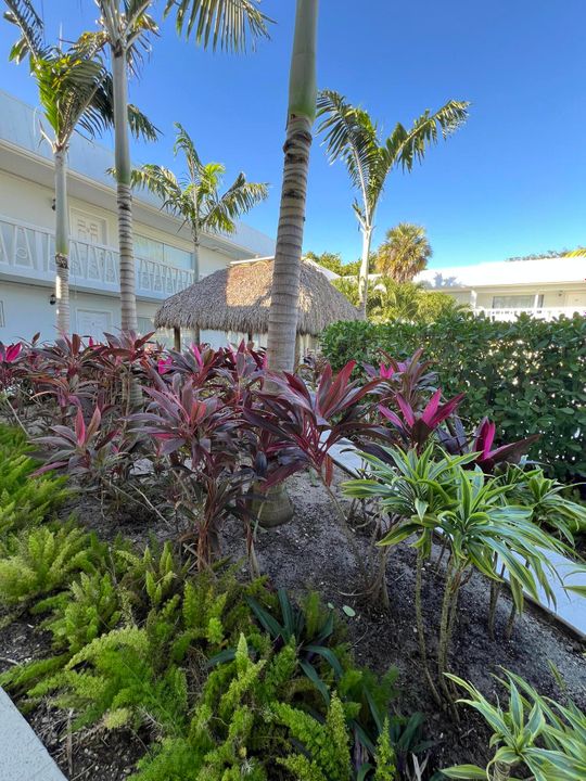 For Rent: $2,095 (1 beds, 1 baths, 580 Square Feet)