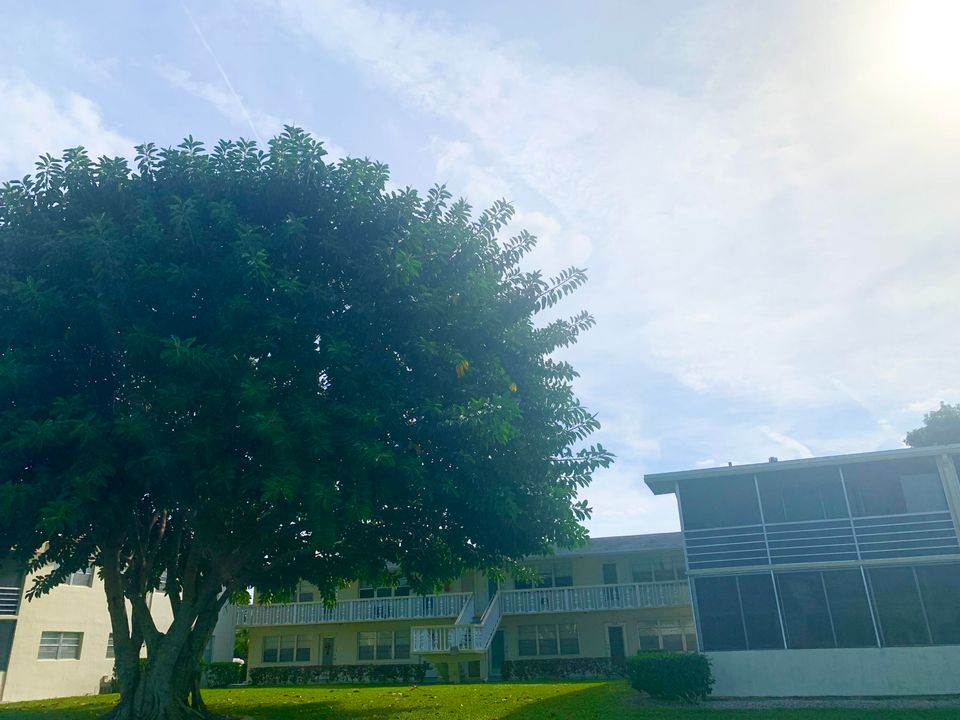 В аренду: $1,550 (1 спален, 2 ванн, 646 Квадратных фут)