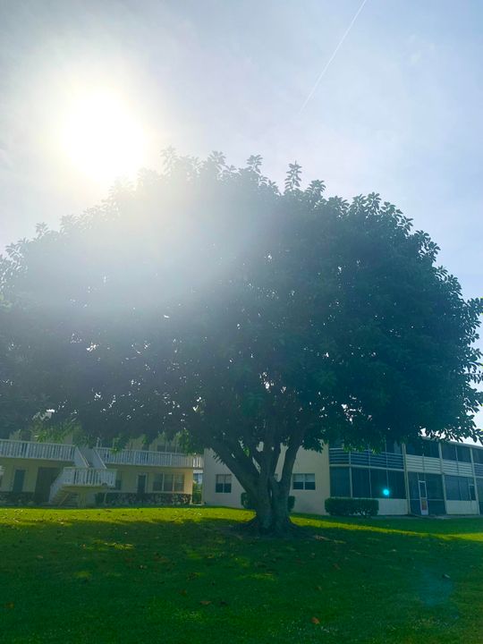 В аренду: $1,550 (1 спален, 2 ванн, 646 Квадратных фут)