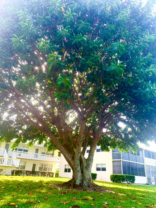 В аренду: $1,550 (1 спален, 2 ванн, 646 Квадратных фут)