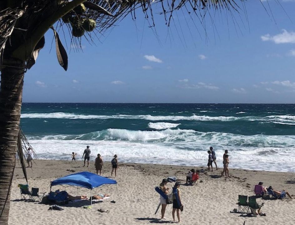 待售: $125,000 (2 贝兹, 1 浴室, 840 平方英尺)