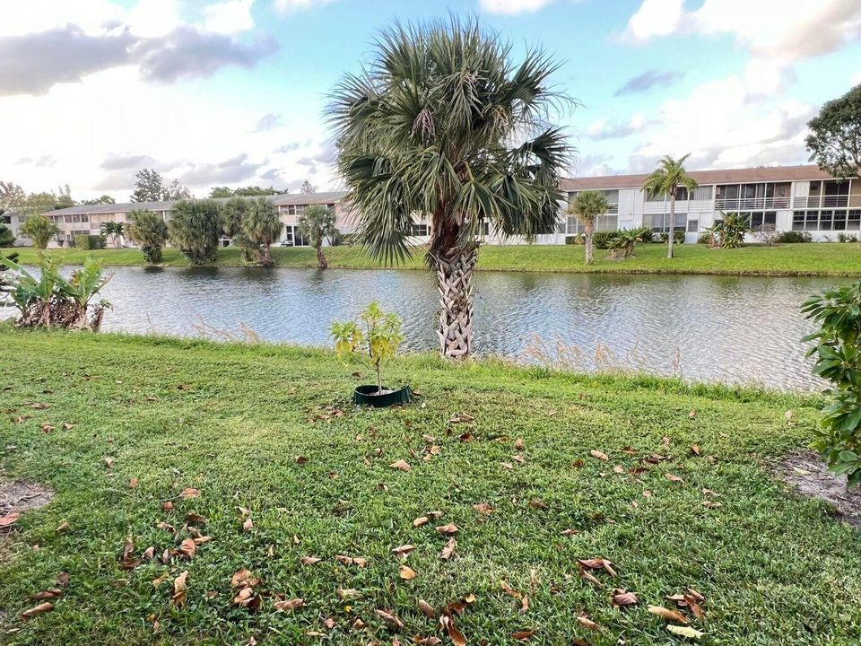 For Sale: $79,900 (1 beds, 1 baths, 646 Square Feet)