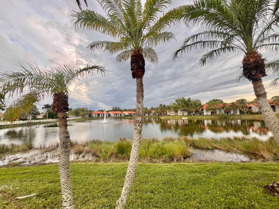 В аренду: $2,000 (2 спален, 2 ванн, 904 Квадратных фут)