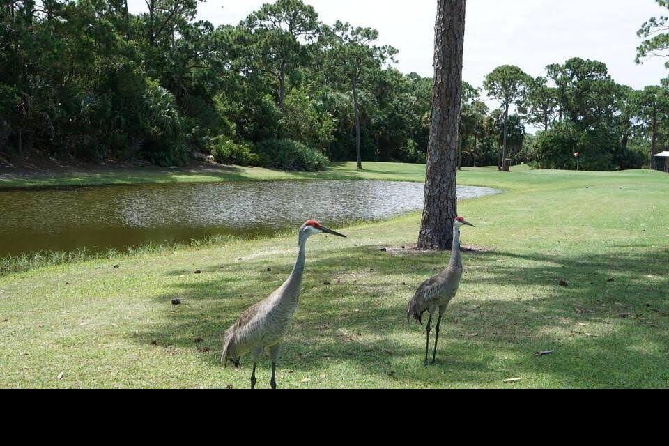 En Venta: $69,900 (2 camas, 2 baños, 1380 Pies cuadrados)