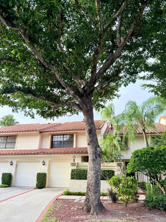 На продажу: $395,000 (3 спален, 2 ванн, 1572 Квадратных фут)