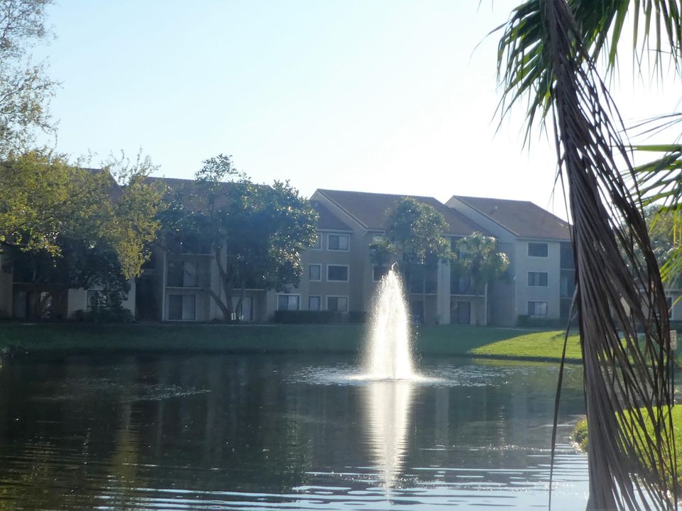 出租: $2,000 (2 贝兹, 2 浴室, 986 平方英尺)