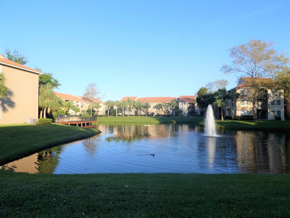 出租: $2,000 (2 贝兹, 2 浴室, 986 平方英尺)