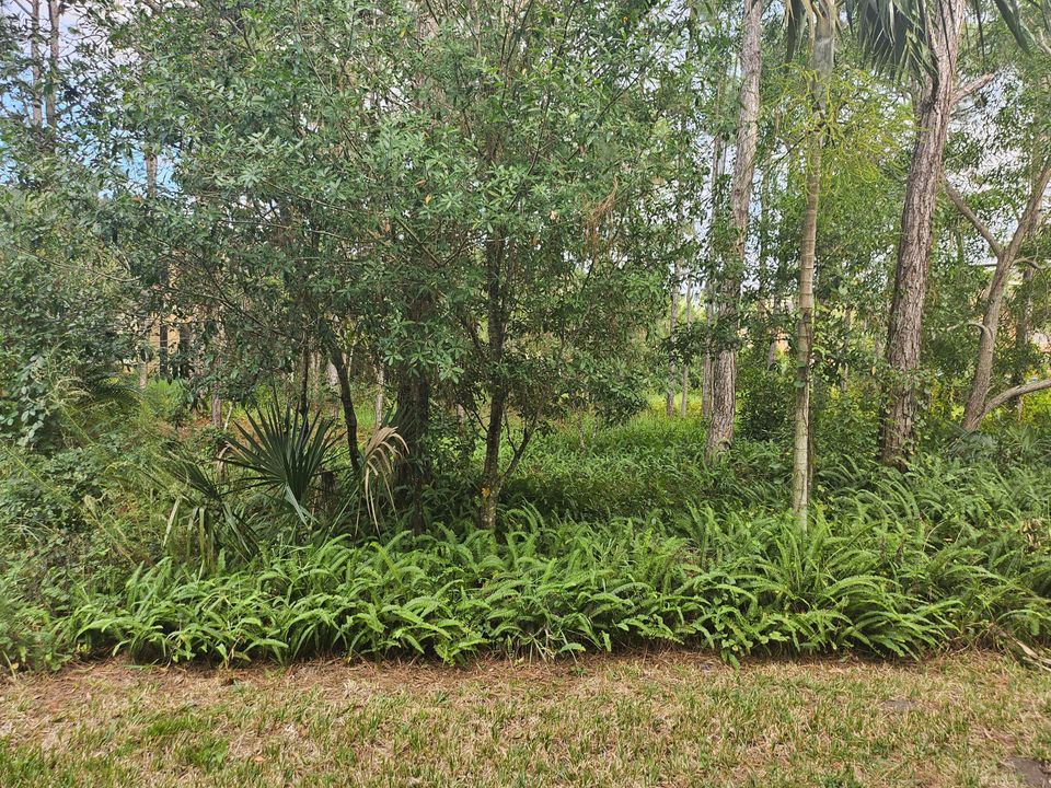 出租: $1,850 (1 贝兹, 1 浴室, 1312 平方英尺)