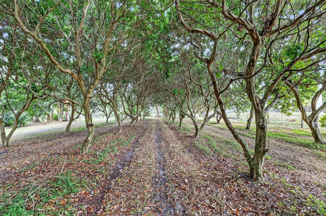 合同活跃: $1,050,000 (4 贝兹, 3 浴室, 3006 平方英尺)