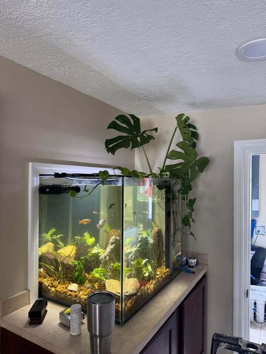 For Sale: $323,000 (4 beds, 1 baths, 1298 Square Feet)