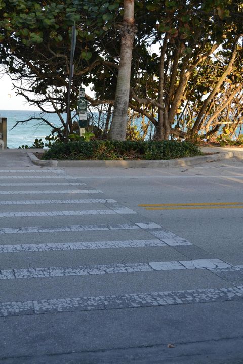 出租: $4,500 (2 贝兹, 2 浴室, 1250 平方英尺)