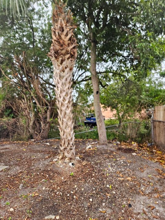 На продажу: $450,000 (3 спален, 1 ванн, 962 Квадратных фут)