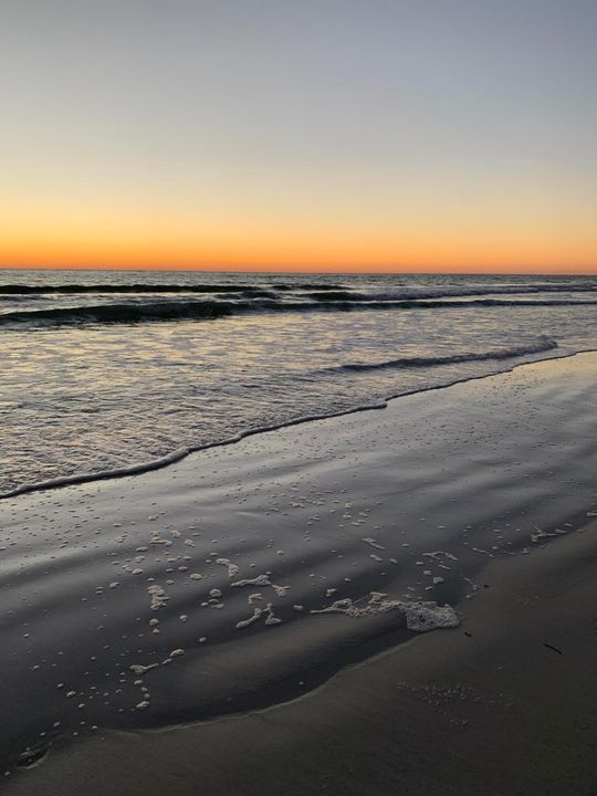 В аренду: $4,000 (2 спален, 2 ванн, 1431 Квадратных фут)