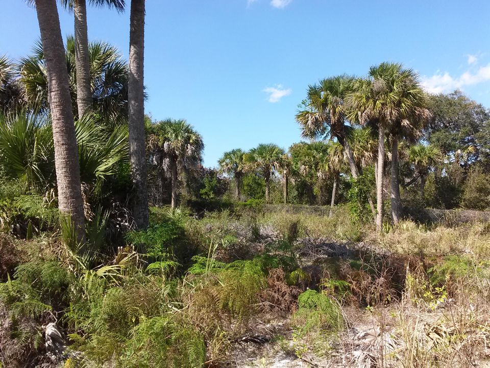 For Sale: $995,000 (0 beds, 0 baths, 0 Square Feet)