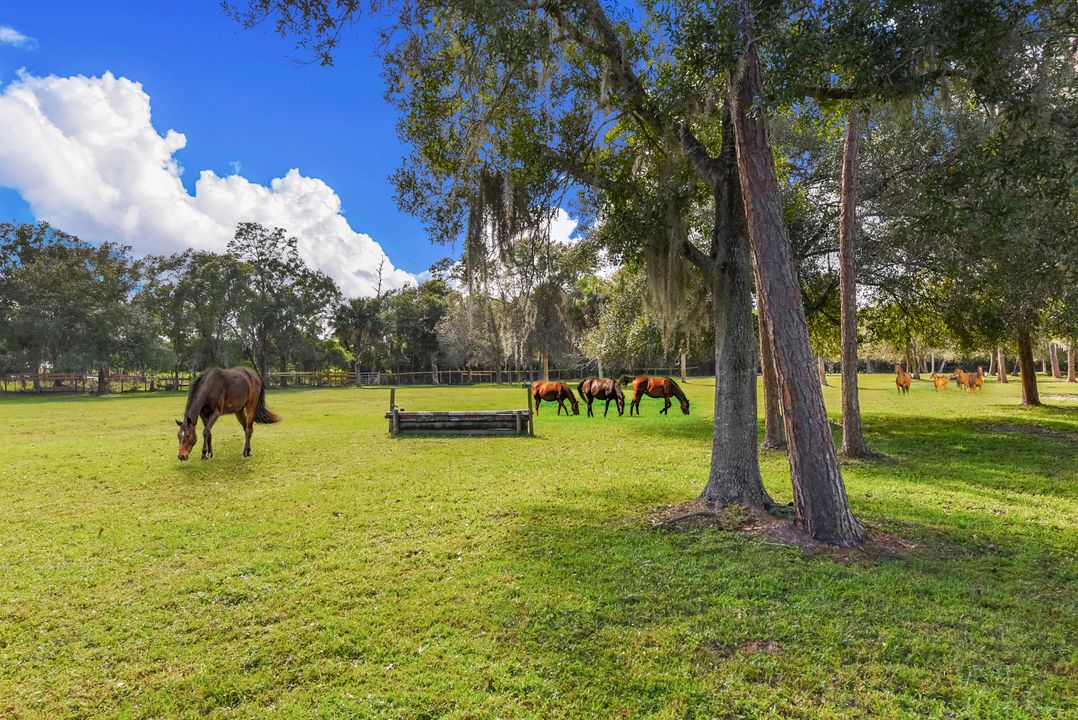 For Sale: $5,300,000 (5 beds, 4 baths, 6334 Square Feet)