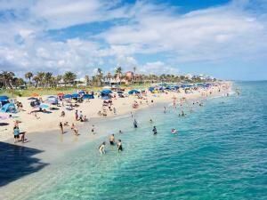 出租: $1,850 (1 贝兹, 1 浴室, 800 平方英尺)