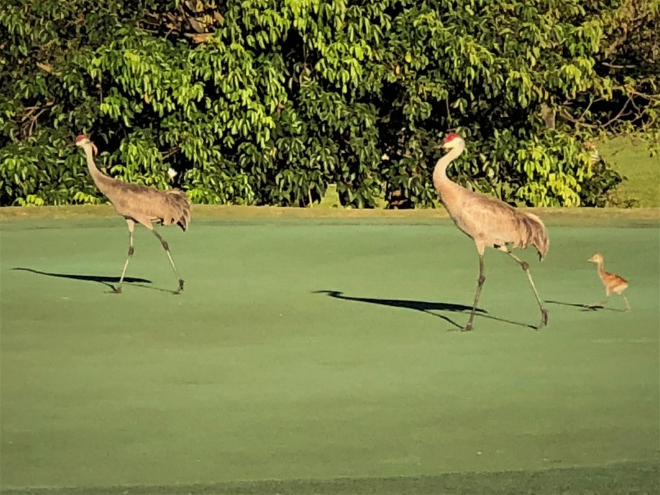 For Rent: $8,000 (2 beds, 2 baths, 1135 Square Feet)