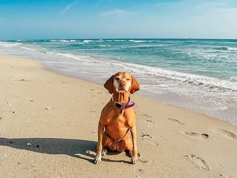 For Sale: $879,000 (0 beds, 0 baths, 0 Square Feet)