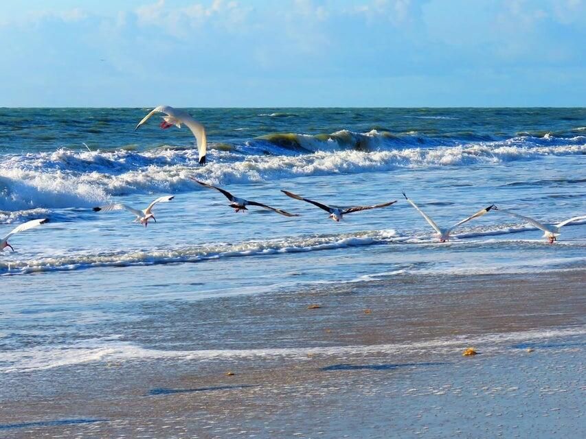 For Sale: $879,000 (0 beds, 0 baths, 0 Square Feet)