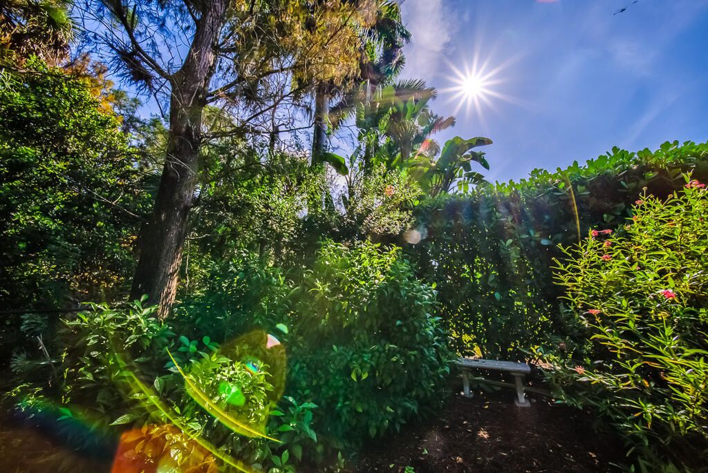 For Sale: $1,325,000 (5 beds, 4 baths, 3161 Square Feet)