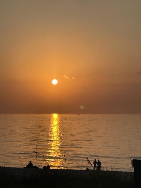 待售: $89,900 (1 贝兹, 1 浴室, 720 平方英尺)