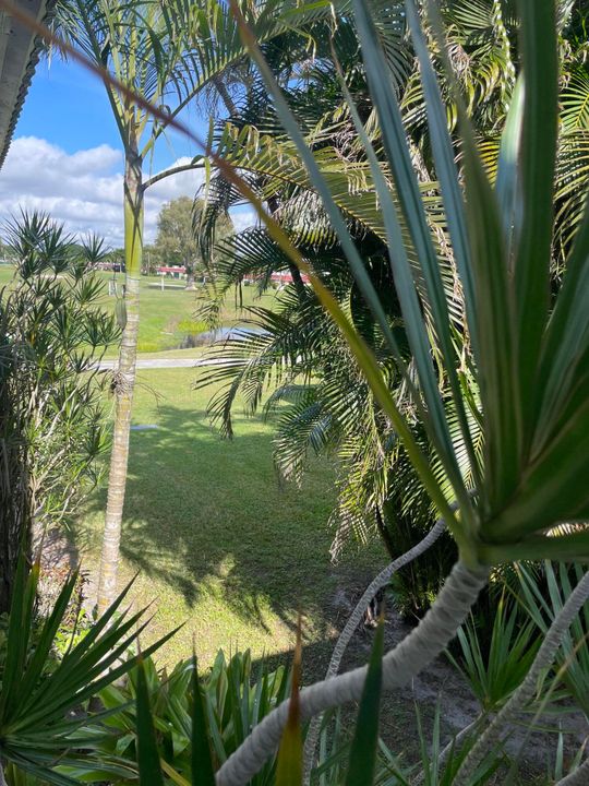 En Renta: $1,600 (2 camas, 2 baños, 880 Pies cuadrados)