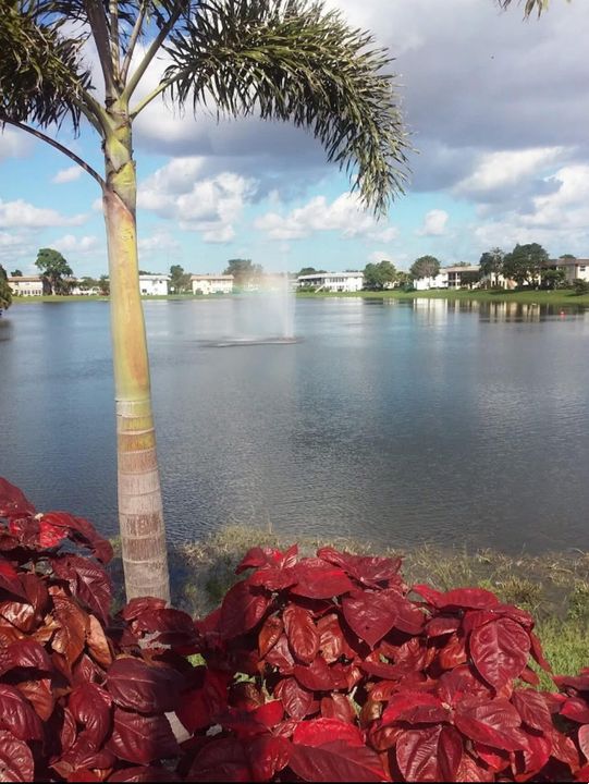 出租: $1,500 (1 贝兹, 1 浴室, 570 平方英尺)