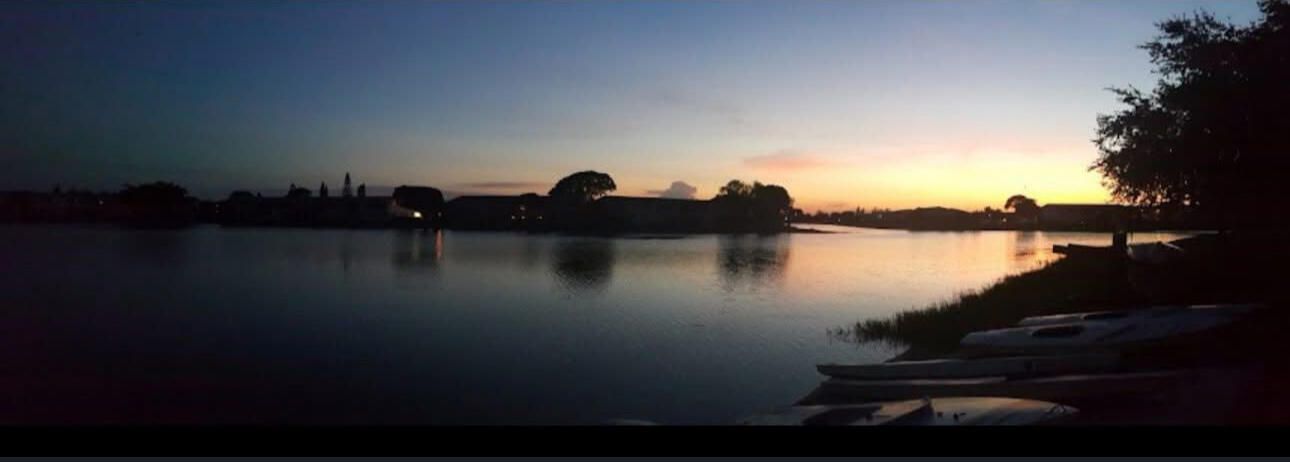 出租: $1,500 (1 贝兹, 1 浴室, 570 平方英尺)