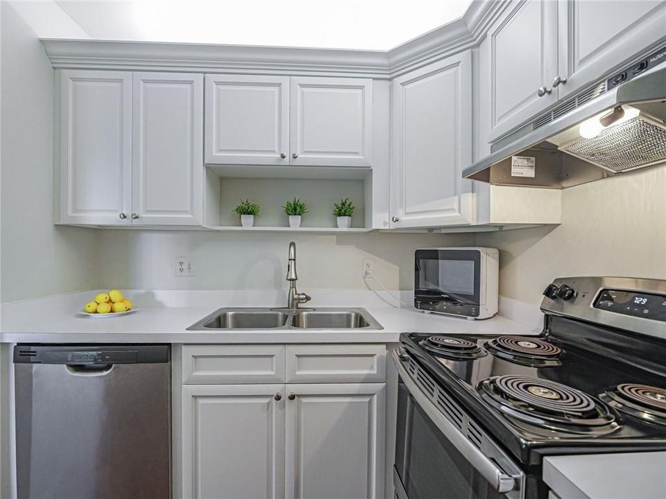 出租: $1,250 (1 贝兹, 1 浴室, 679 平方英尺)