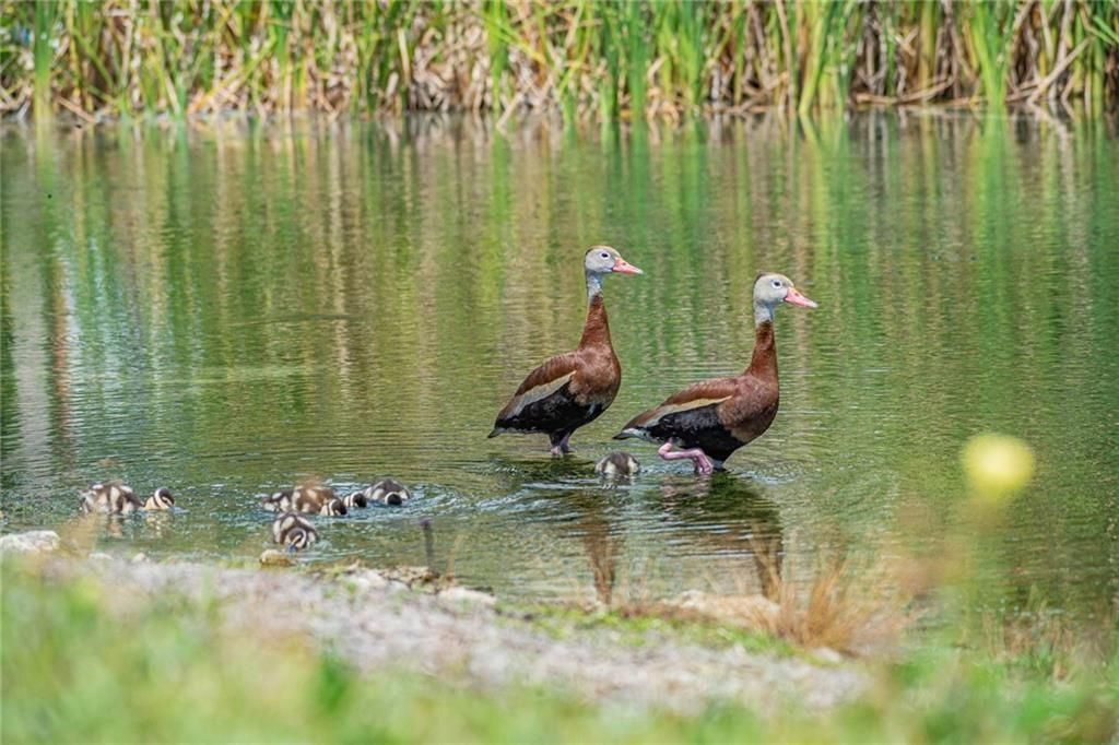 出租: $1,250 (1 贝兹, 1 浴室, 679 平方英尺)